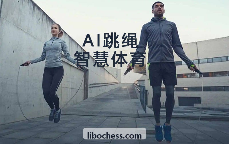 利博合规架构图